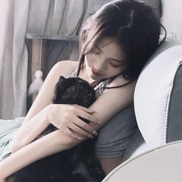 派特森与芬达猫：生日奇闻